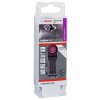 BOSCH RB – 10 ks PAIZ32APT Professional (2608664219)