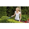 BOSCH ASB 10,8 LI