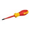 Bosch Šroubovák VDE, TX25x100 (1600A02NC8)