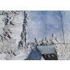 Bosch PRO SDS max Floor Scraper, 152 × 635 mm (2608690612)