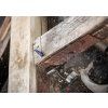 Bosch Pilový list EXPERT Multi Material Demolition S681KLHM (2608901704)