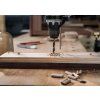 Bosch Vrták do dřeva PRO Wood, 3 × 30 × 61 mm (2608577706)