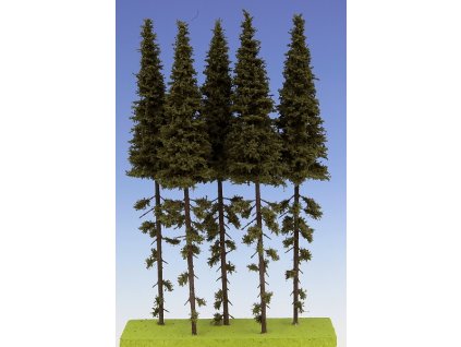 161 smrk vysoky kmen 230 270 mm