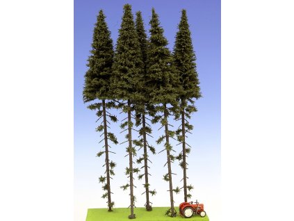 164 smrk vysoky kmen 280 320 mm