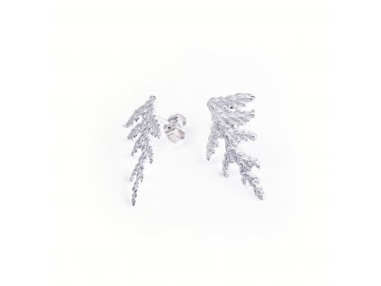 5earrings Thuja foliage