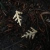 Thuja Twig Earrings - Silver