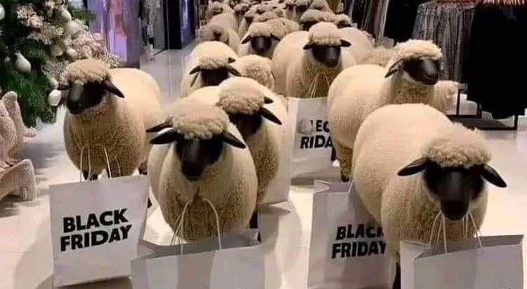 Black Friday