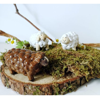 WhatsApp Image 2025 03 11 at 11.11.14 (3)