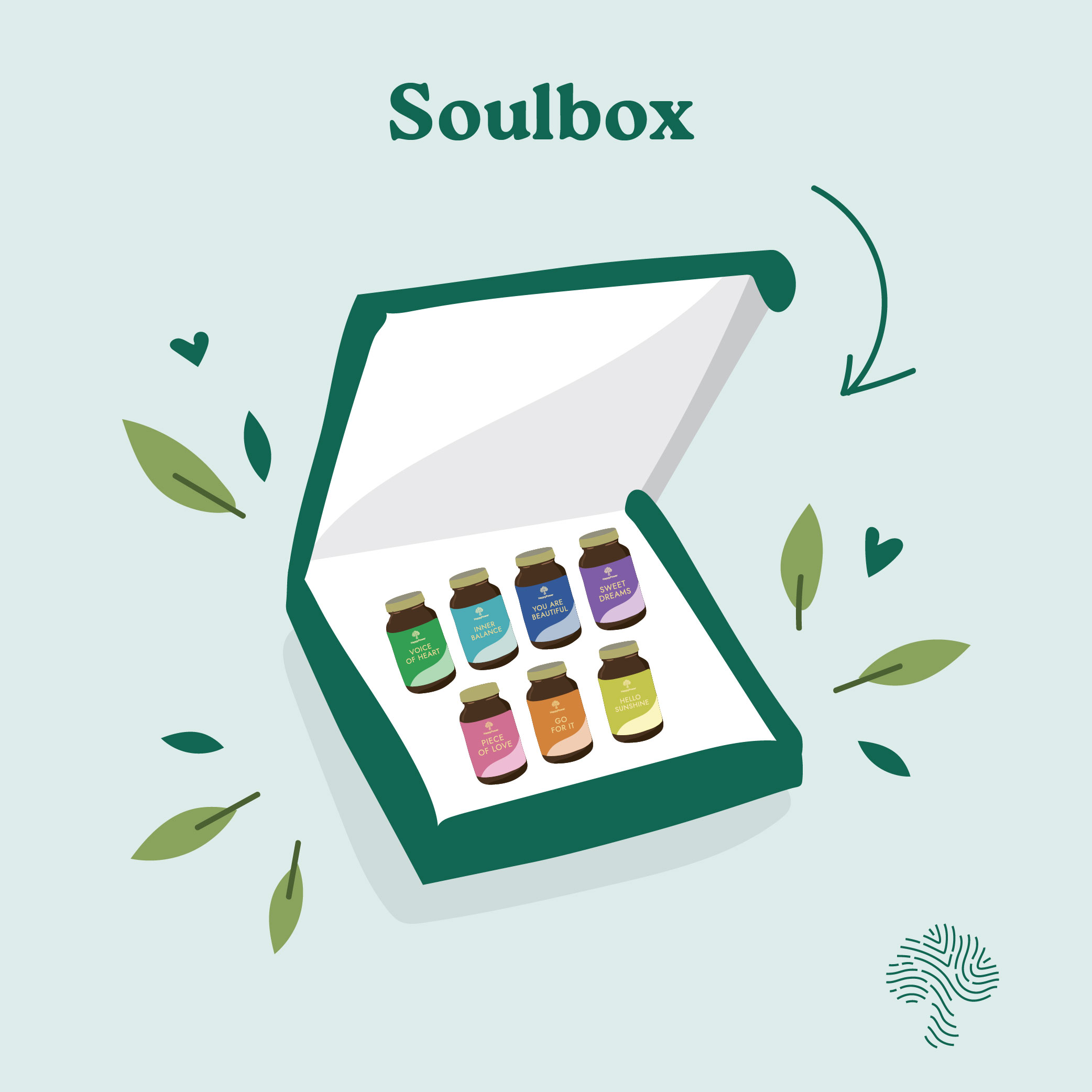 Jaké je složení vitamínových směsí v SOULBOXU?