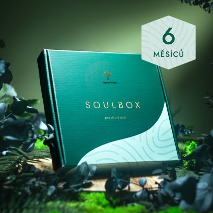 soulbox 6mesicu