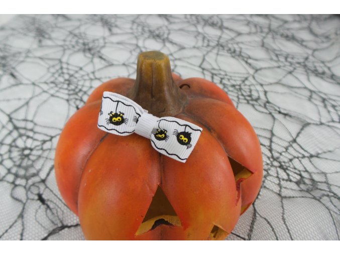 bílá sponečka s malými pavoučky