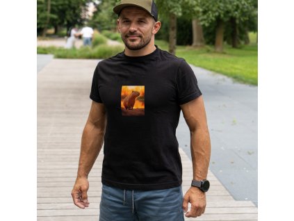 pansky sunnybara 2