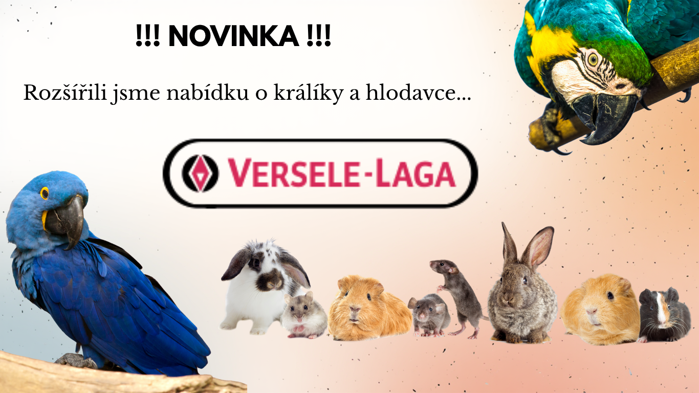 Novinka drobní savci