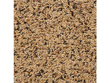 gs1 006380 5411860021053 80 kanaries kweek zonder raapzaad 20kg1