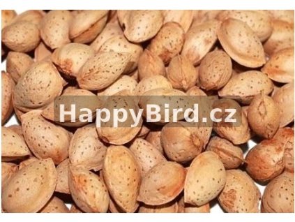 mandle cropped happybird