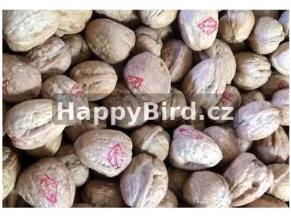 orechyjumbo happybird