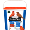 Gold Patee Red Factor Birds