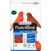 Gold Patee Red Factor Birds