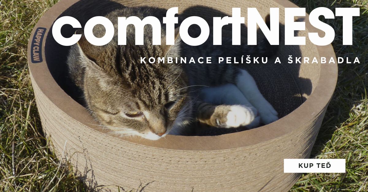 HappyClaw - comfortNest