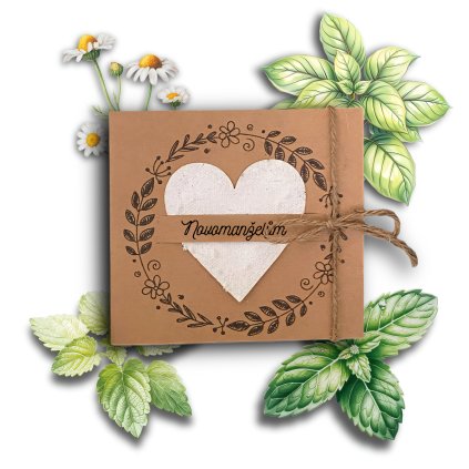 997E8244 4D84 4983 8DBB 9B40DDD66031