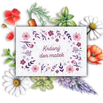 54549D30 385E 44A5 907E A02EBCD96533