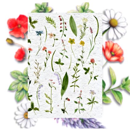 97CB738D 0198 4AB8 A308 EA5E207095F9