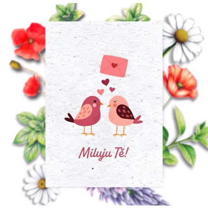 9A981191 9E9A 42A3 B8E1 B99B1B49ED48