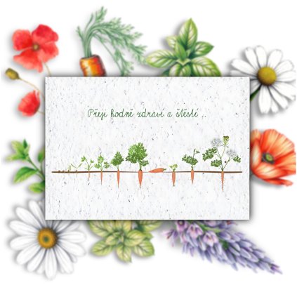 78CA8F0E 9B40 4EB2 BB9F C5B0E575687B