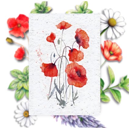 AD119CD5 1A3F 4B28 8756 794D39B3F3BA