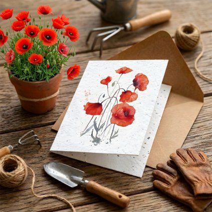 0E97E158 A3C6 48EF 88D2 521BE033839B