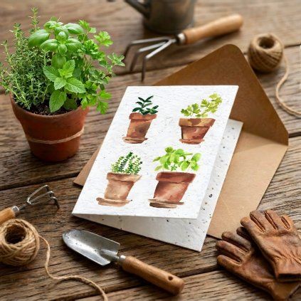 E5C21683 E11D 486E 991E 08A58B2D3F12