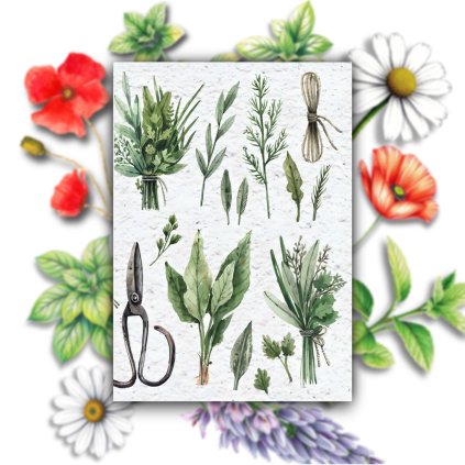 9D49AE58 DCEB 46B2 A874 B4149208DD60