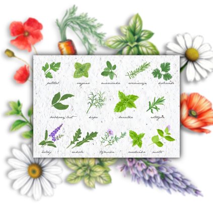 C90FBF3A 934A 4380 96FB C9AC47B759A1