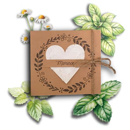 E74FDDB3 6CDB 42E9 BA5B 873762BBD841