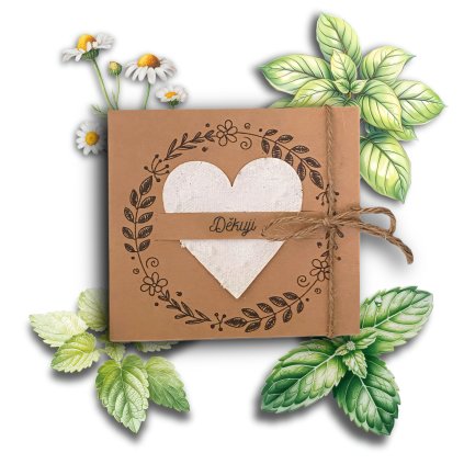 F09FB5D5 3361 48DB B510 A96DD4913AAC