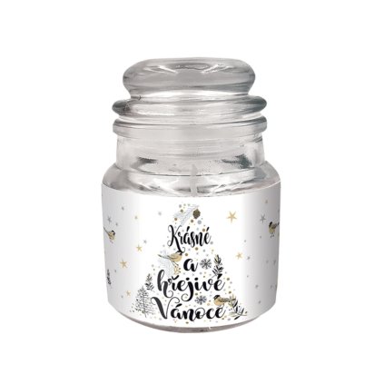 Snímek obrazovky 2025 12 31 v 13.14.43