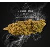 Skunk 1