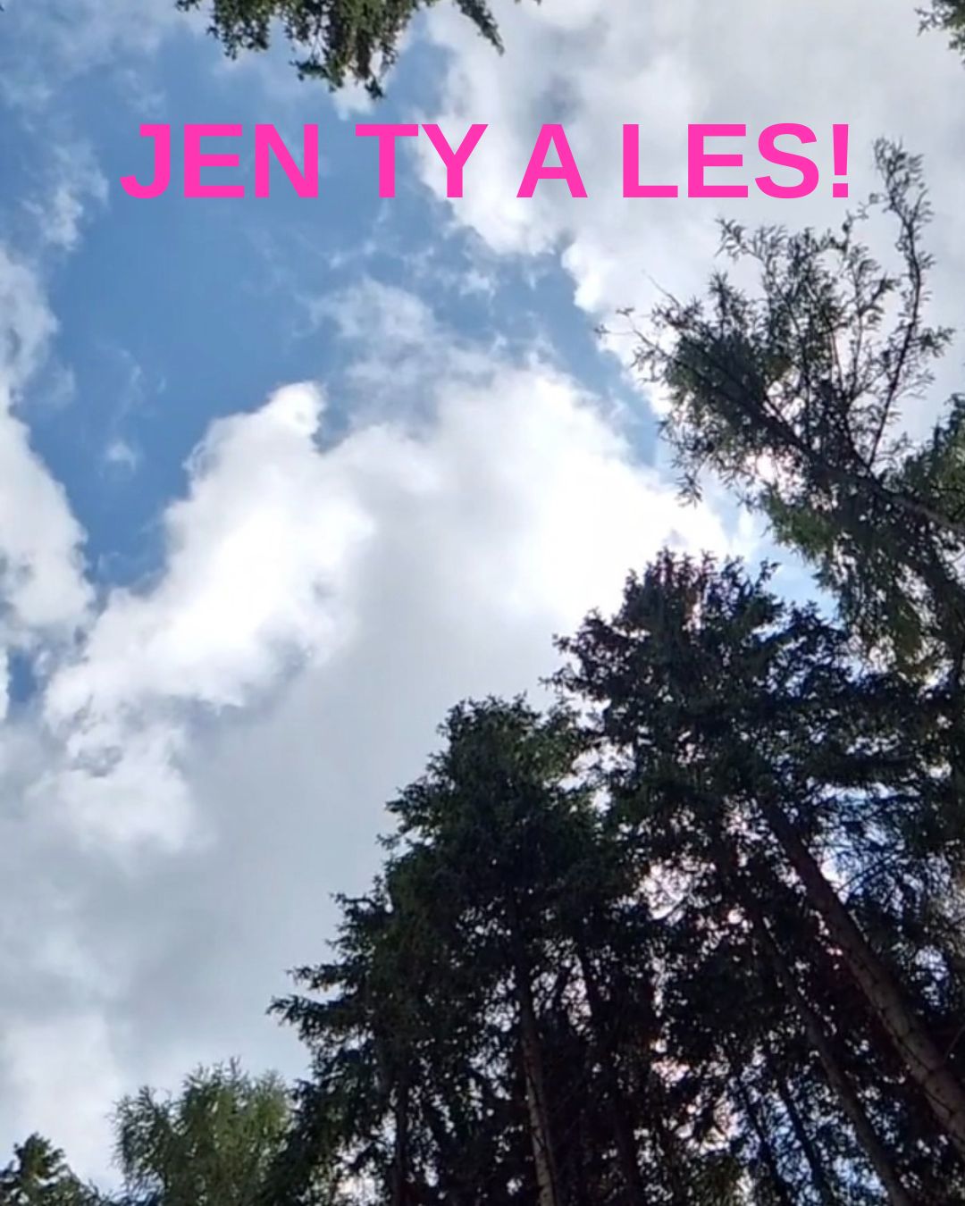 Tvůj úplný klid v lese. Jen Ty a les!