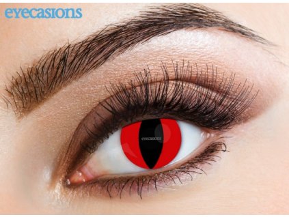 Eyecasions - Red cat | egynapos