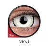 ColourVUE - Venus | éves