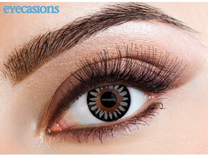 Eyecasions - Misty Grey | mesačné + 60ml roztok + púzdro zadarmo