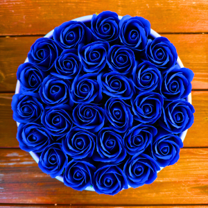 Královsky modrá růže