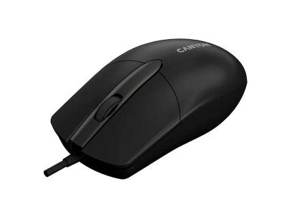 PP706405