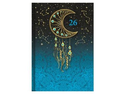 D13