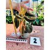 PHILODENDRON MELANOCHRYSUM VARIEGATED