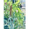 MONSTERA ADANSONII INDONESIAN MARBLE