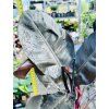 PHILODENDRON BLACK CARDINAL