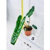 PHILODENDRON BILLIETIAE