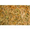 Rašeliník - sphagnum moss