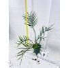 PHILODENDRON TORTUM